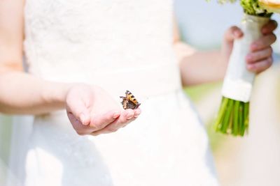 Close-up of hand holding bee