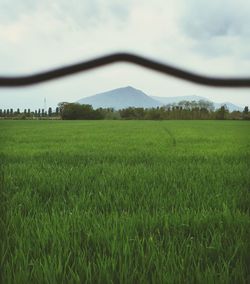 Scenic view of grassy field against cloudy sky