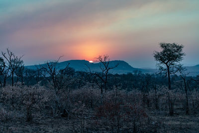 Scenic view of landscape against sky during sunset