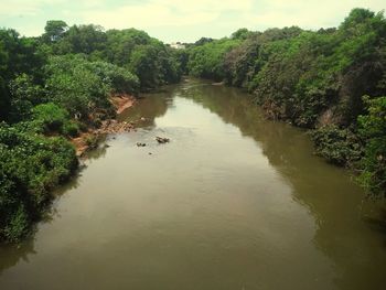 Scenic view of lake amidst trees against sky