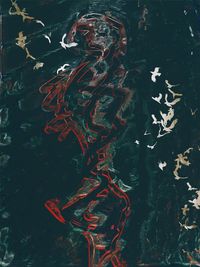 High angle view of jellyfish swimming in sea