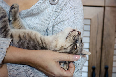 Midsection of person with cat relaxing on hand