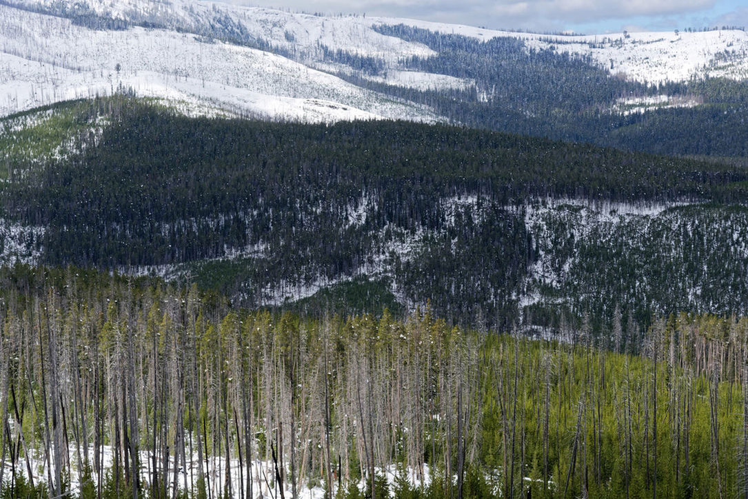 SCENIC VIEW OF LAND DURING WINTER SEASON