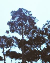 Low angle view of silhouette tree against sky
