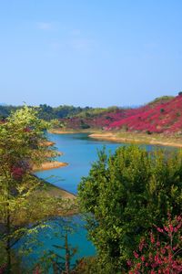 Scenic view of calm lake against clear sky