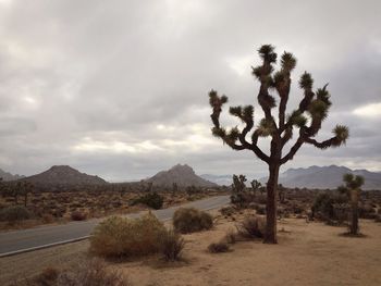 Scenic view of landscape against cloudy sky