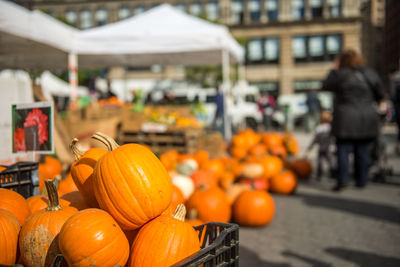 Close-up of pumpkins for sale, some days before halloween celebration, in a street market