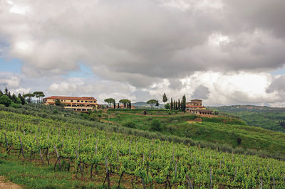 Villa with typical house in the tuscan countryside, italy.