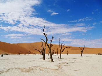 Scenic view of desert against blue sky