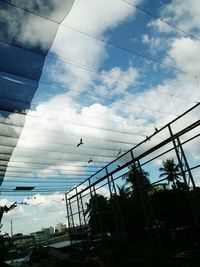 Low angle view of bird against sky