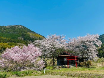 House on field against clear blue sky