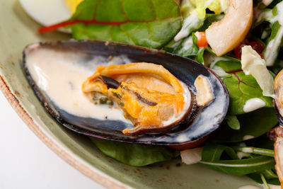 High angle view of meal served in bowl