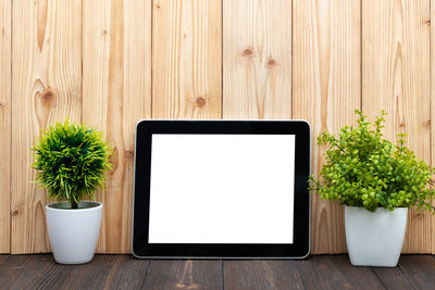 Potted plant on table