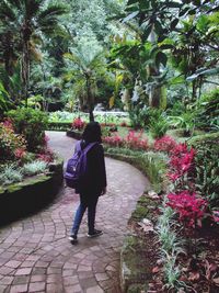 Rear view of woman walking on footpath