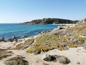 Scenic view of seacoast against clear sky