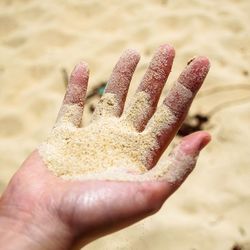 Cropped image of hand holding sand at beach