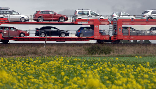 Train on field against sky