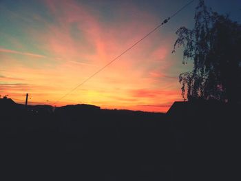 Silhouette of trees at sunset