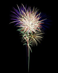 Low angle view of firework display at night