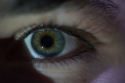 Close-up portrait of human eye