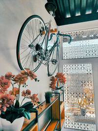 Close-up of potted plant on window