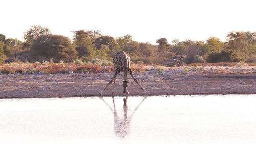 water