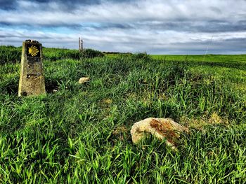 Scenic view of grassy field against cloudy sky