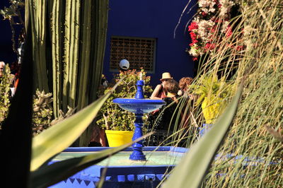 People sitting by plants