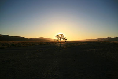 Scenic view of landscape against clear sky at sunset