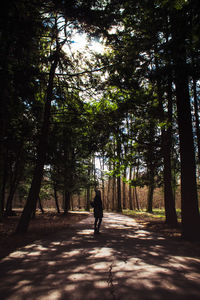 Full length of woman walking in forest