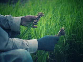 Human hand on field