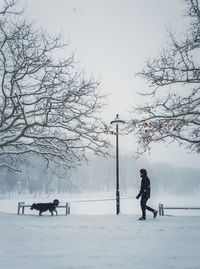 Man walking his dog in the city park. silhouette of a person and pet wandering the snowy street