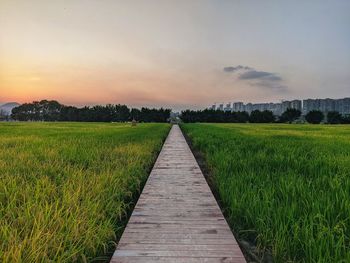 Footpath amidst field against sky during sunset