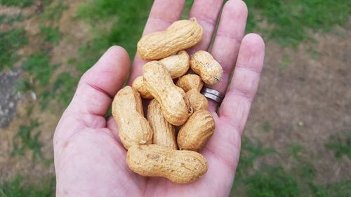 Close-up of hand holding bread