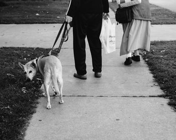 Rear view of couple with dog walking on footpath