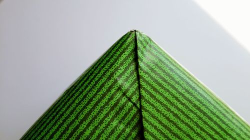 Close-up of green leaves