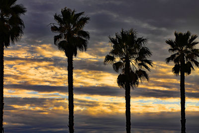 Silhouette palm trees against sky during sunset