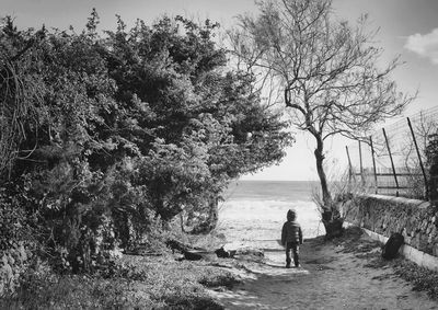 Rear view of boy standing on footpath leading towards beach