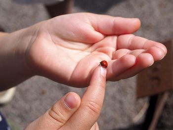 Close-up of hand holding small baby