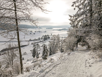 Snow covered land and trees against sky