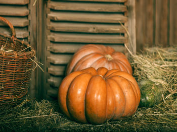 Close-up of pumpkins in basket