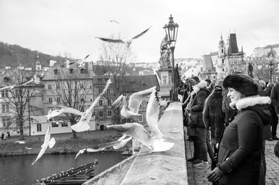 Woman feeding seagulls in a bridge