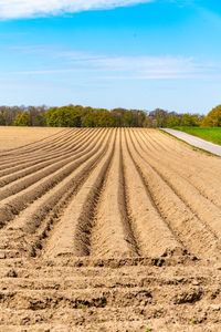 Scenic view of agricultural field against sky