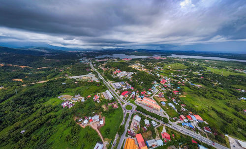 High angle view of plants and buildings in city