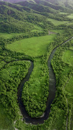 High angle view of agricultural field