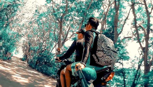 Rear view of friends sitting on tree trunk in forest