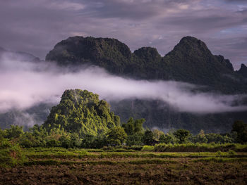 Scenic view of agricultural field by trees and mountains against sky