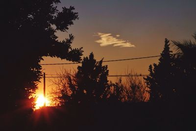 Silhouette of trees at sunset