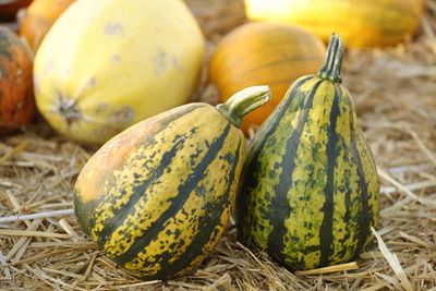 Close-up of fruits for sale at market stall