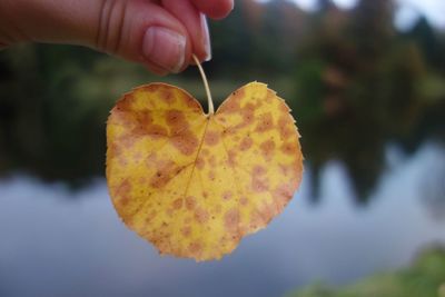 Close-up of hand holding autumn leaf